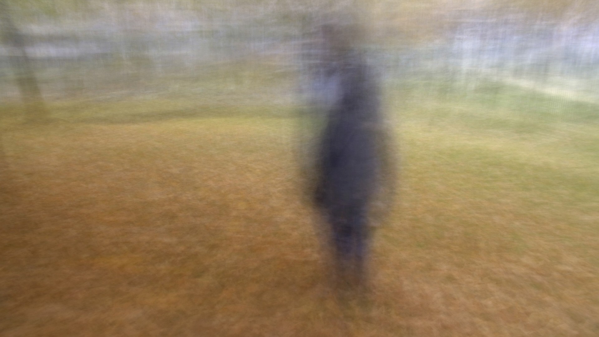 Amnesia — the architecture of forgetting