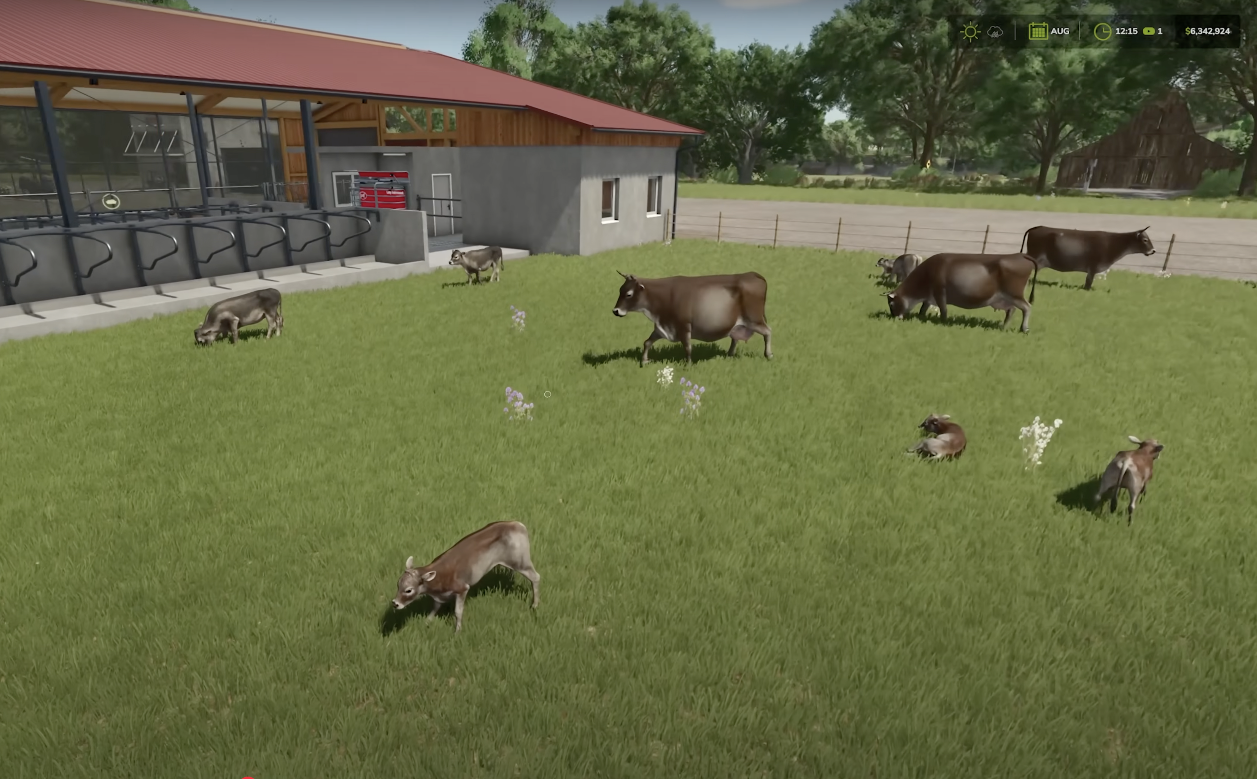 Rewild — algorithmic growth, organic form